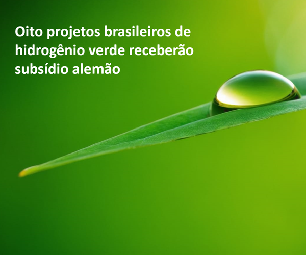 Premiação de 8 projetos Brasileiros