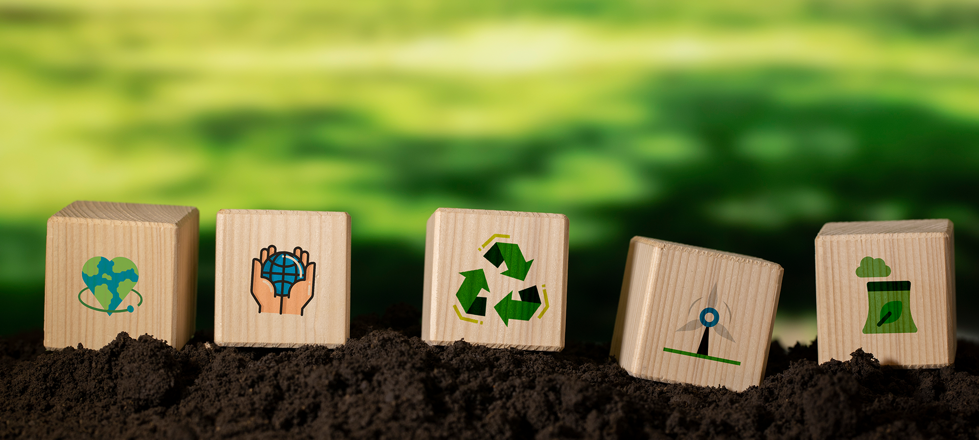 Sustentabilidade